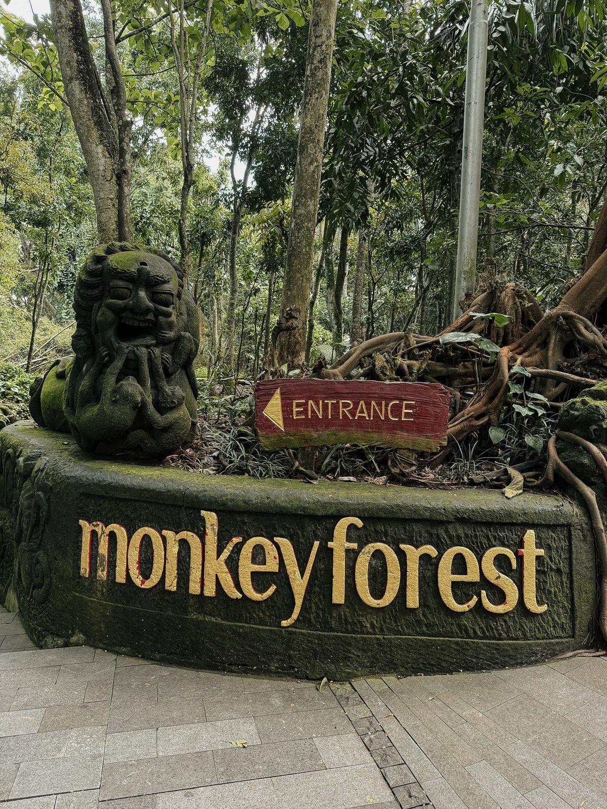 Ubud Sightseeing & Adventure